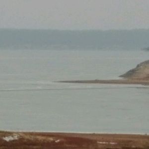 Meet your Posher, Gary